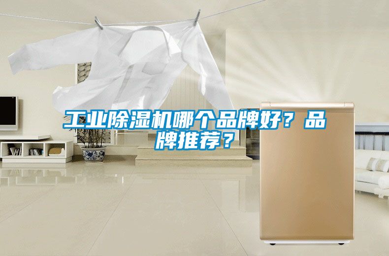 工業(yè)除濕機哪個品牌好？品牌推薦？