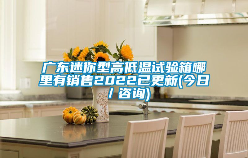 廣東迷你型高低溫試驗(yàn)箱哪里有銷售2022已更新(今日/咨詢)