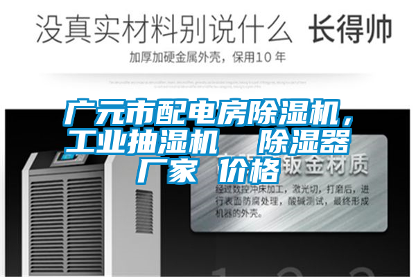 廣元市配電房除濕機(jī)，工業(yè)抽濕機(jī)  除濕器廠家 價(jià)格