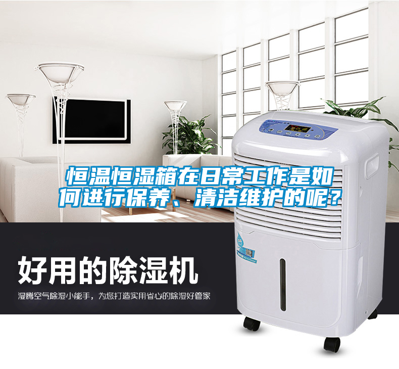 恒溫恒濕箱在日常工作是如何進行保養(yǎng)、清潔維護的呢？