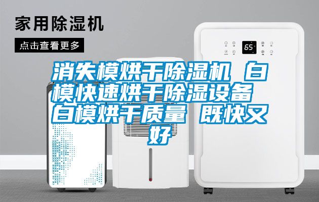 消失模烘干除濕機 白?？焖俸娓沙凉裨O(shè)備 白模烘干質(zhì)量 既快又好