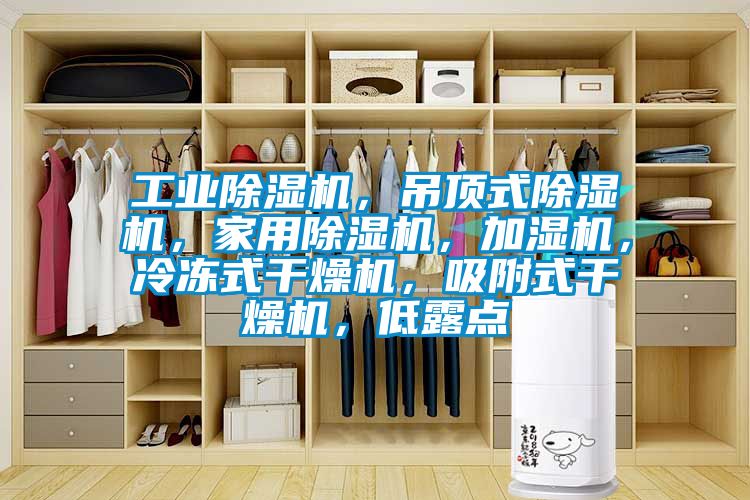 工業(yè)除濕機(jī)，吊頂式除濕機(jī)，家用除濕機(jī)，加濕機(jī)，冷凍式干燥機(jī)，吸附式干燥機(jī)，低露點(diǎn)