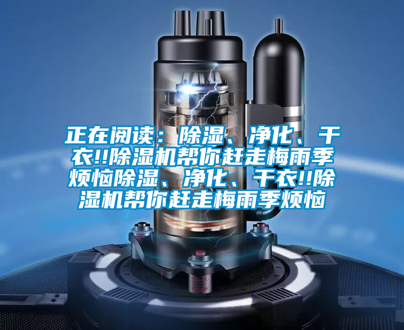 正在閱讀：除濕、凈化、干衣!!除濕機幫你趕走梅雨季煩惱除濕、凈化、干衣!!除濕機幫你趕走梅雨季煩惱