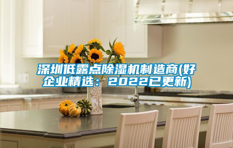 深圳低露點(diǎn)除濕機(jī)制造商(好企業(yè)精選:2022已更新)