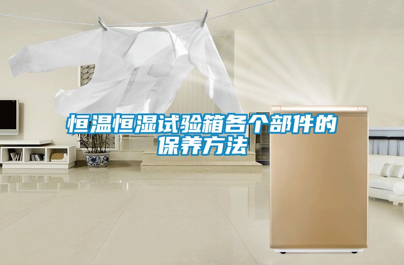 恒溫恒濕試驗(yàn)箱各個部件的保養(yǎng)方法