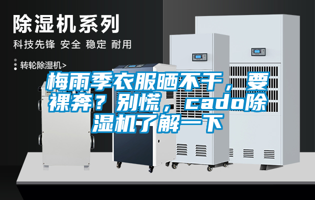 梅雨季衣服曬不干，要裸奔？別慌，cado除濕機了解一下