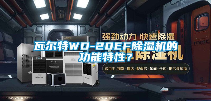 瓦爾特WD-20EF除濕機(jī)的功能特性?