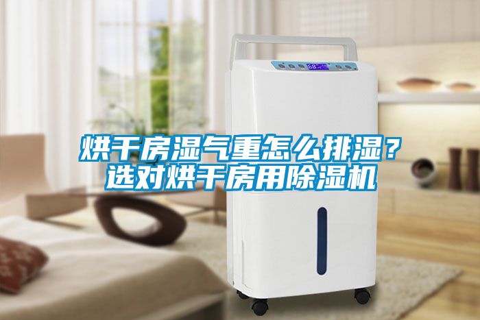 烘干房濕氣重怎么排濕？選對烘干房用除濕機