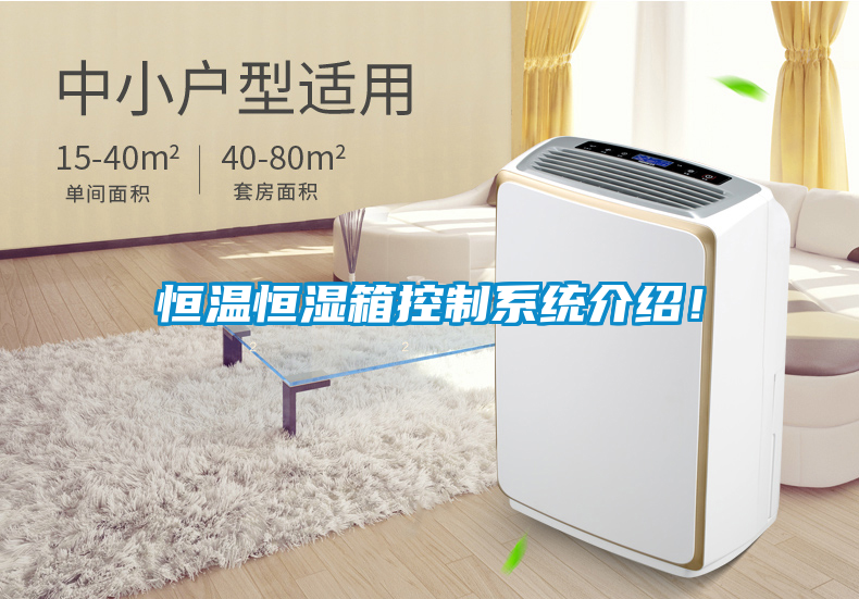 恒溫恒濕箱控制系統(tǒng)介紹！