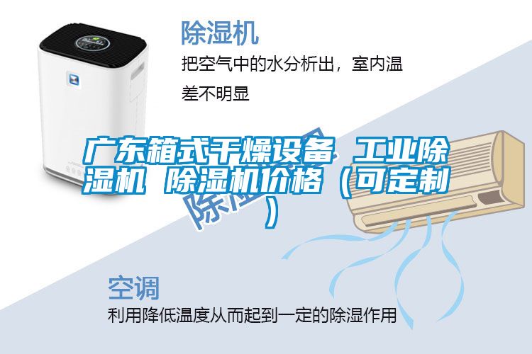 廣東箱式干燥設(shè)備 工業(yè)除濕機 除濕機價格(可定制)