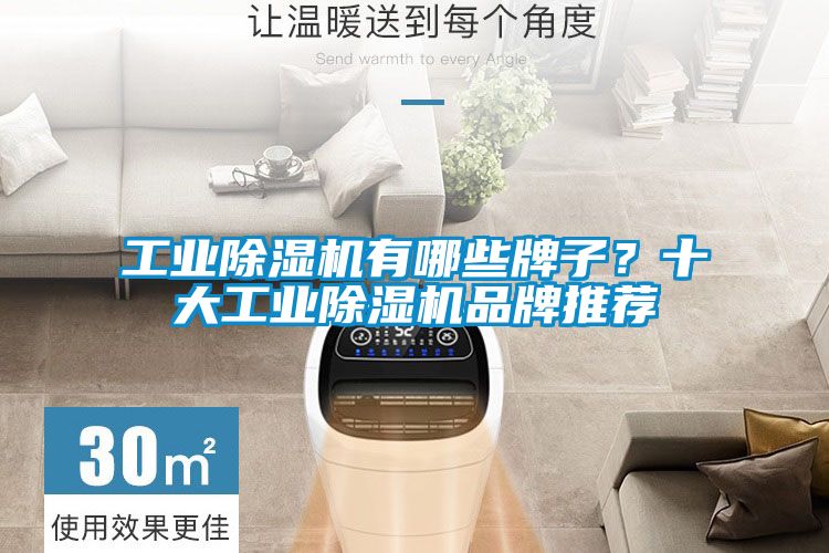 工業(yè)除濕機有哪些牌子？十大工業(yè)除濕機品牌推薦