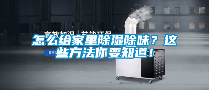 怎么給家里除濕除味？這些方法你要知道！
