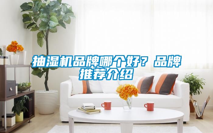 抽濕機(jī)品牌哪個(gè)好？品牌推薦介紹