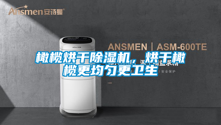 橄欖烘干除濕機(jī)，烘干橄欖更均勻更衛(wèi)生