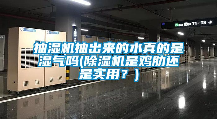 抽濕機抽出來的水真的是濕氣嗎(除濕機是雞肋還是實用？)