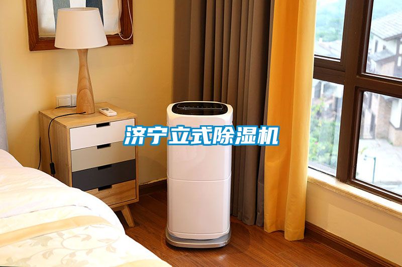 濟(jì)寧立式除濕機