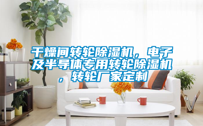 干燥間轉輪除濕機，電子及半導體專用轉輪除濕機，轉輪廠家定制