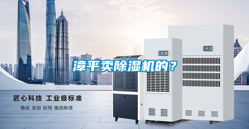 漳平賣除濕機的？