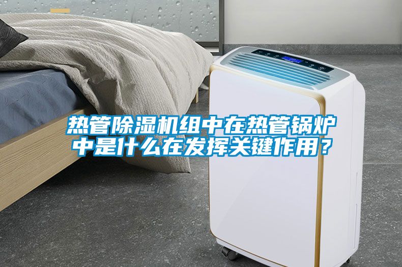 熱管除濕機(jī)組中在熱管鍋爐中是什么在發(fā)揮關(guān)鍵作用？