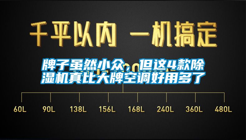 牌子雖然小眾，但這4款除濕機真比大牌空調(diào)好用多了