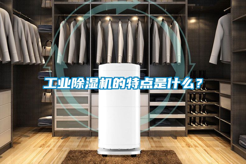 工業(yè)除濕機(jī)的特點(diǎn)是什么？
