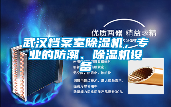 武漢檔案室除濕機，專業(yè)的防潮、除濕機設(shè)備