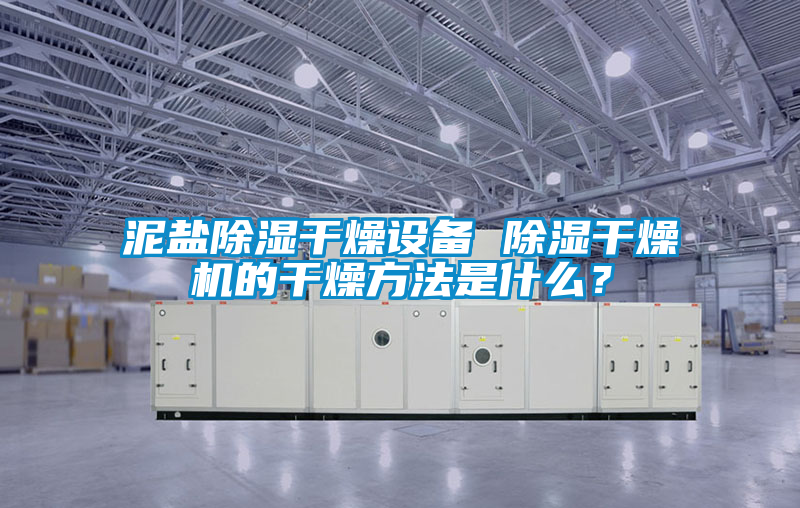 泥鹽除濕干燥設(shè)備 除濕干燥機的干燥方法是什么？