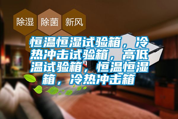 恒溫恒濕試驗箱，冷熱沖擊試驗箱，高低溫試驗箱，恒溫恒濕箱，冷熱沖擊箱