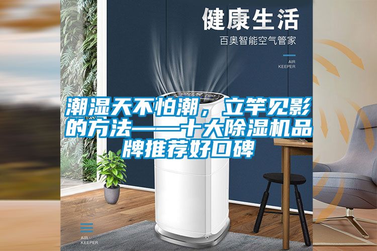潮濕天不怕潮，立竿見影的方法——十大除濕機品牌推薦好口碑
