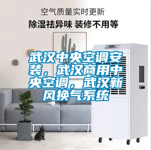 武漢中央空調(diào)安裝，武漢商用中央空調(diào)，武漢新風換氣系統(tǒng)