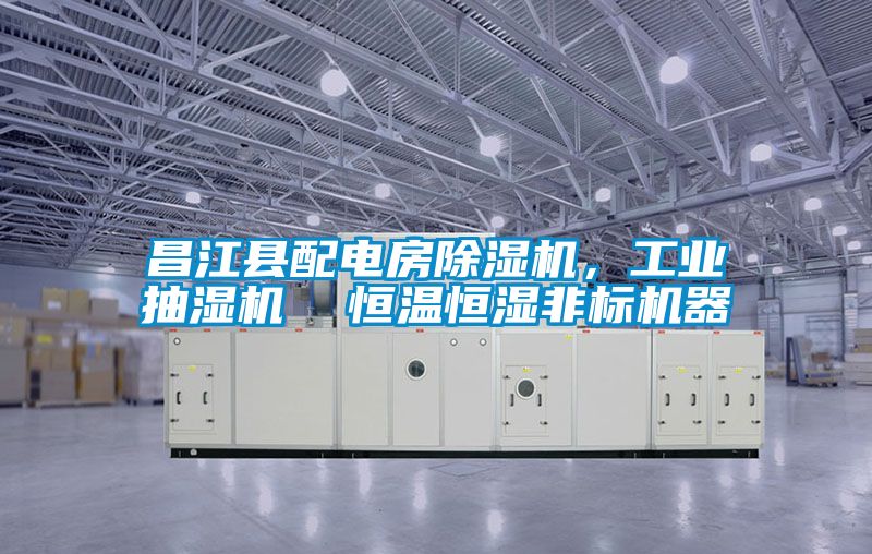 昌江縣配電房除濕機(jī)，工業(yè)抽濕機(jī)  恒溫恒濕非標(biāo)機(jī)器
