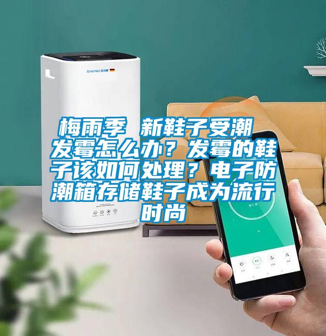 梅雨季 新鞋子受潮 發(fā)霉怎么辦？發(fā)霉的鞋子該如何處理？電子防潮箱存儲鞋子成為流行時(shí)尚