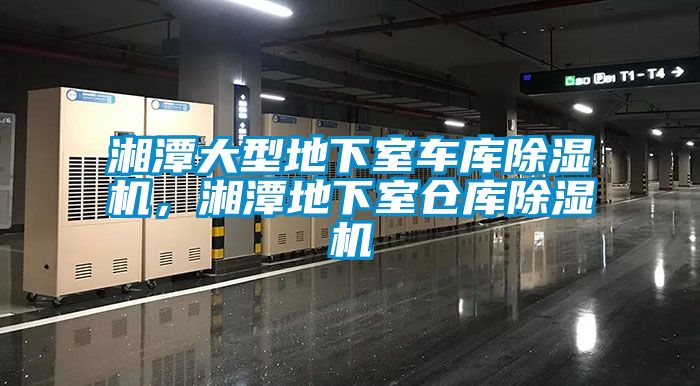 湘潭大型地下室車庫除濕機，湘潭地下室倉庫除濕機