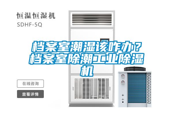 檔案室潮濕該咋辦？檔案室除潮工業(yè)除濕機(jī)