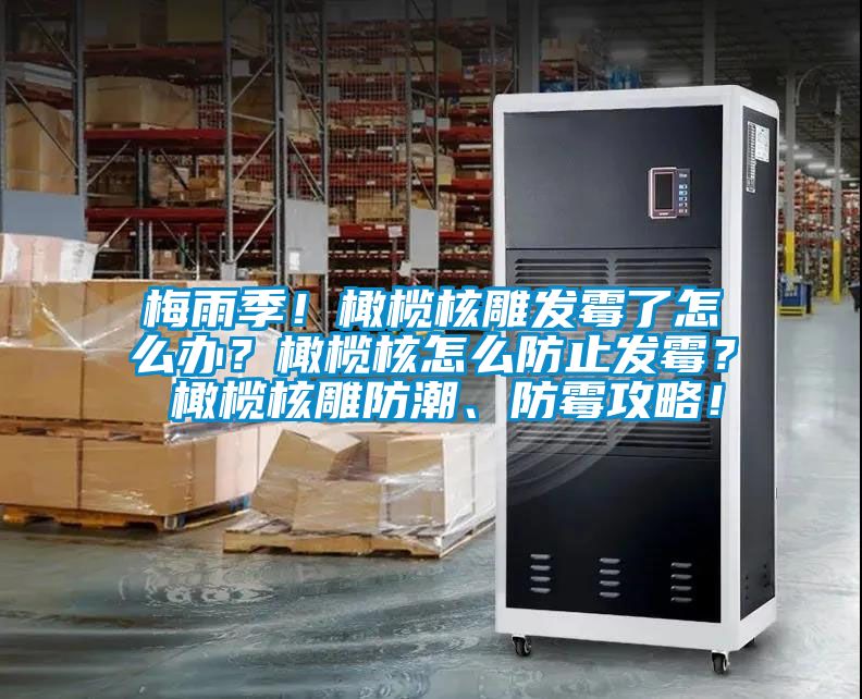 梅雨季！橄欖核雕發(fā)霉了怎么辦？橄欖核怎么防止發(fā)霉？ 橄欖核雕防潮、防霉攻略！