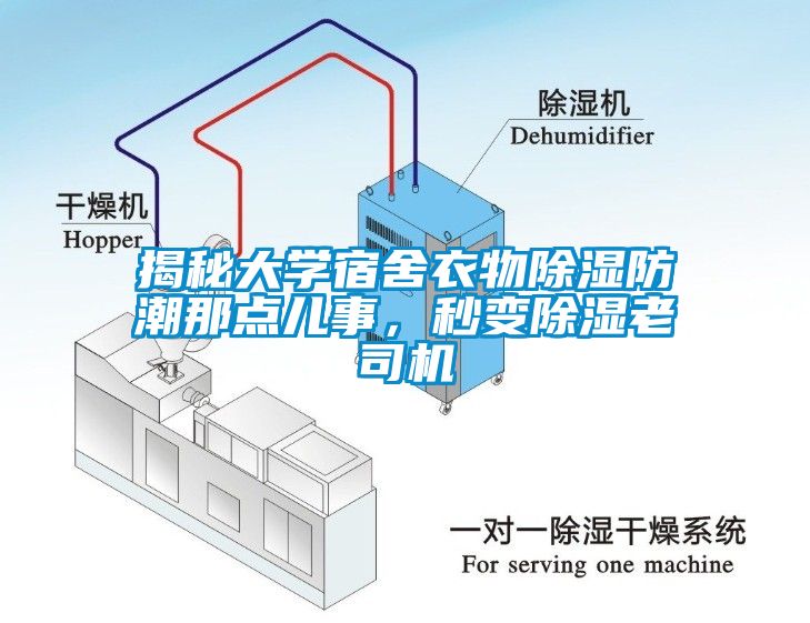 揭秘大學(xué)宿舍衣物除濕防潮那點(diǎn)兒事，秒變除濕老司機(jī)