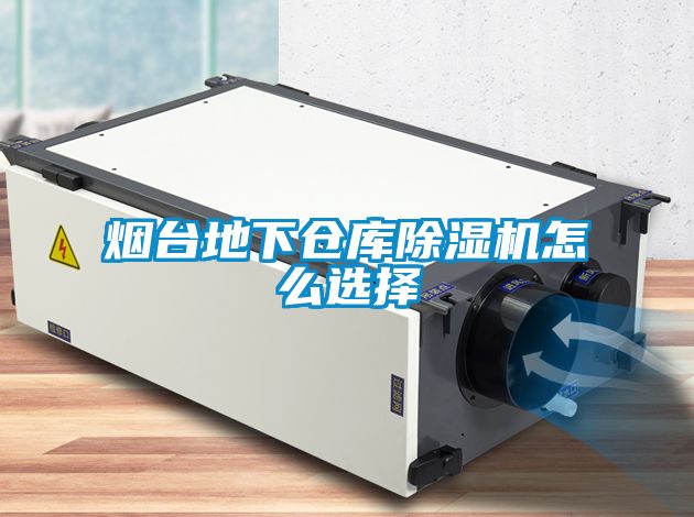 煙臺(tái)地下倉庫除濕機(jī)怎么選擇