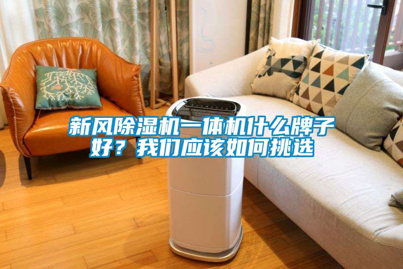 新風(fēng)除濕機(jī)一體機(jī)什么牌子好？我們應(yīng)該如何挑選