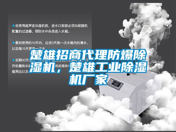 楚雄招商代理防爆除濕機，楚雄工業(yè)除濕機廠家
