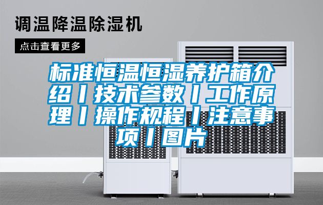 標準恒溫恒濕養(yǎng)護箱介紹丨技術(shù)參數(shù)丨工作原理丨操作規(guī)程丨注意事項丨圖片