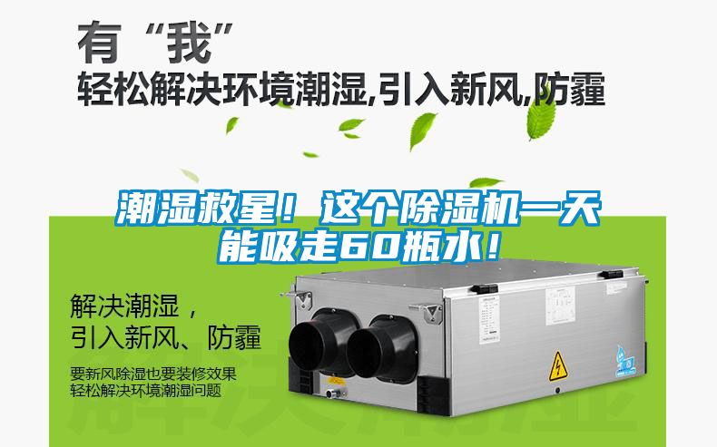 潮濕救星！這個除濕機一天能吸走60瓶水！