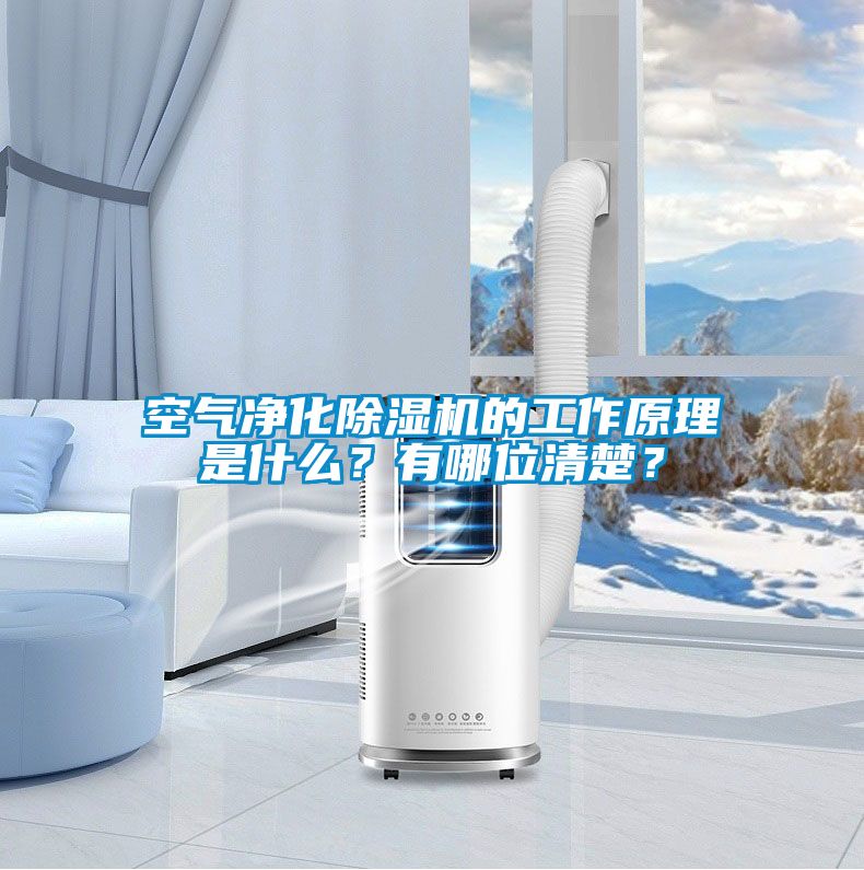 空氣凈化除濕機的工作原理是什么？有哪位清楚？