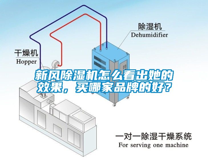 新風除濕機怎么看出她的效果，買哪家品牌的好？
