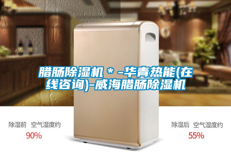 臘腸除濕機(jī)*-華青熱能(在線咨詢)-威海臘腸除濕機(jī)
