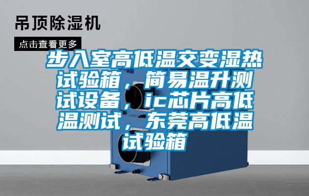 步入室高低溫交變濕熱試驗(yàn)箱，簡(jiǎn)易溫升測(cè)試設(shè)備，ic芯片高低溫測(cè)試，東莞高低溫試驗(yàn)箱