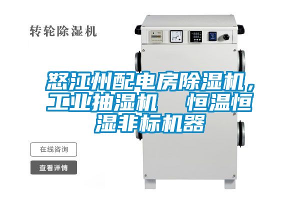 怒江州配電房除濕機(jī)，工業(yè)抽濕機(jī)  恒溫恒濕非標(biāo)機(jī)器