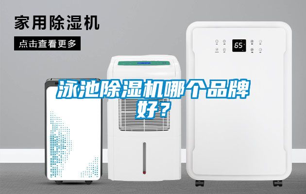 泳池除濕機哪個品牌好？