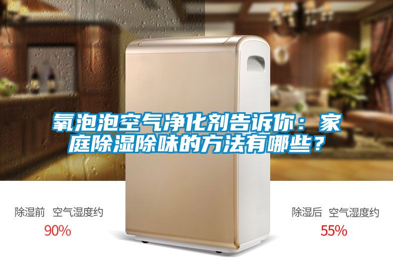 氧泡泡空氣凈化劑告訴你：家庭除濕除味的方法有哪些？