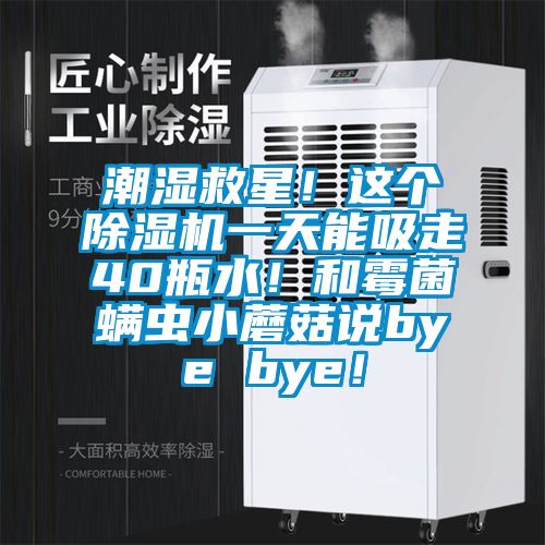 潮濕救星！這個除濕機一天能吸走40瓶水！和霉菌螨蟲小蘑菇說bye bye！