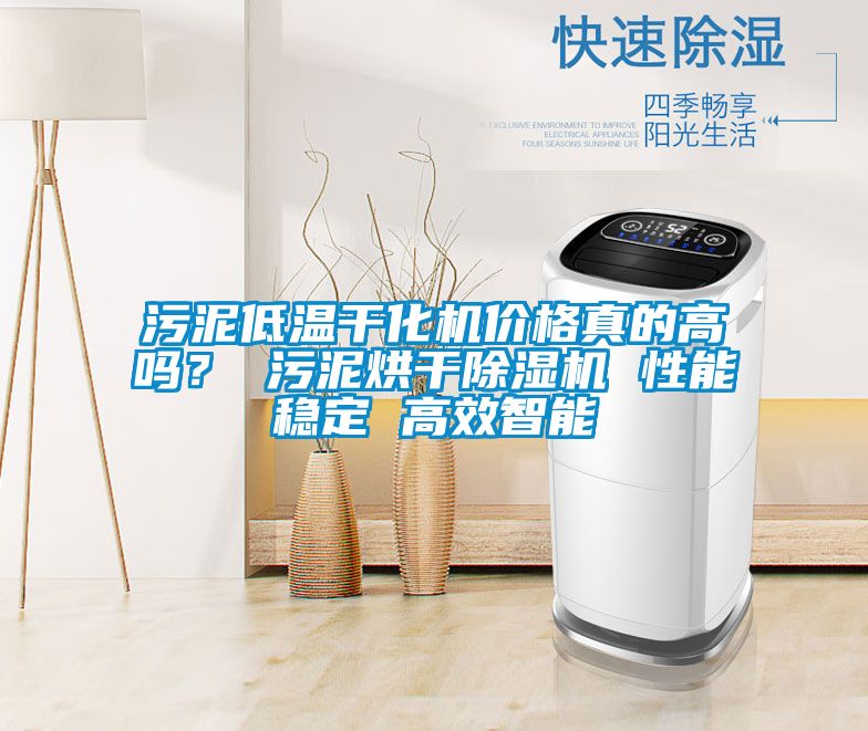 污泥低溫干化機(jī)價格真的高嗎？ 污泥烘干除濕機(jī) 性能穩(wěn)定 高效智能